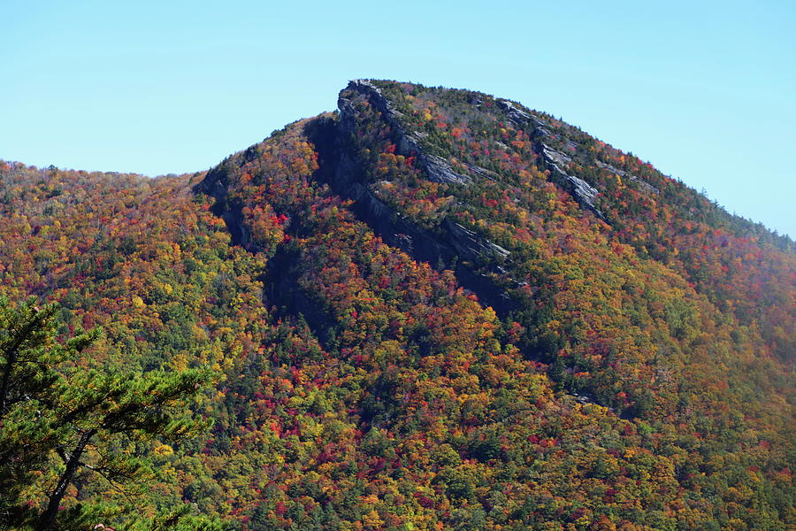 Hawksbill Mountain 2022 Photograph by Cathy Lindsey - Fine Art America