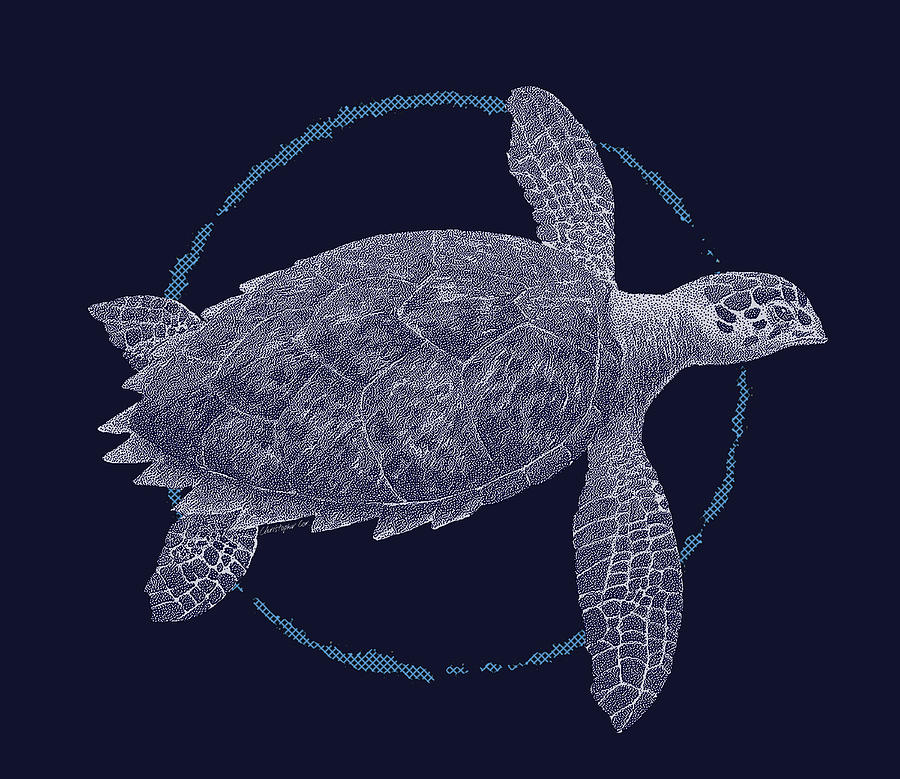 Hawksbill turtle Digital Art by Christopher Cox
