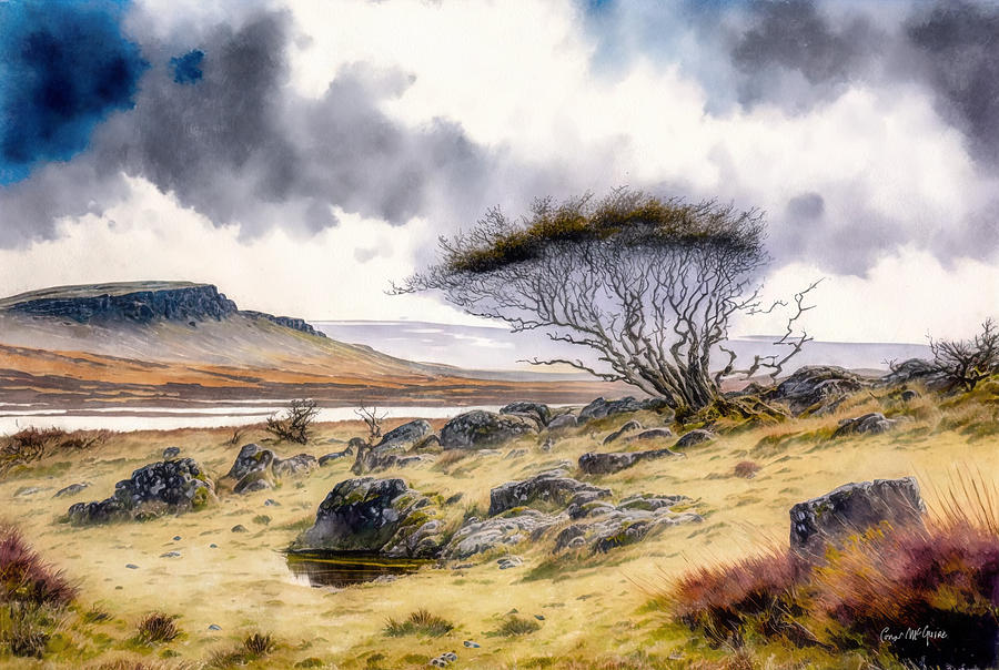 Hawthorn Tree In Winter Painting