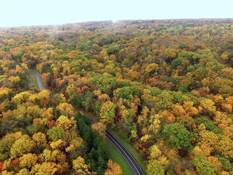 Hawthorne Parkway in the Fall Photograph by Brad Nellis