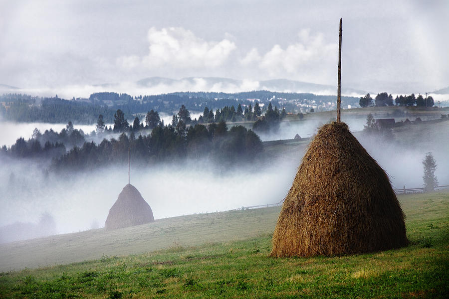Hay and mist Photograph by Noam Mymon