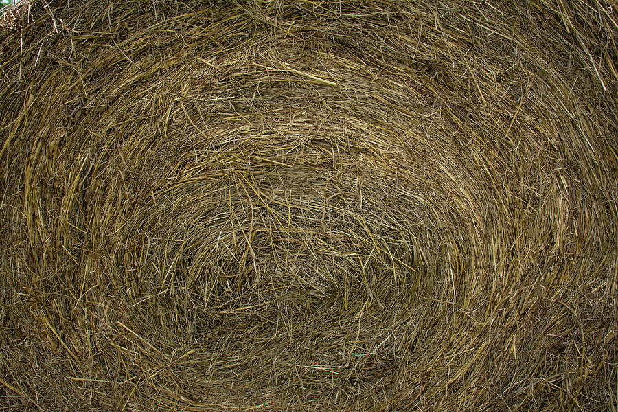 Hay Bale layers close up Photograph by Brigitta Diaz - Fine Art America