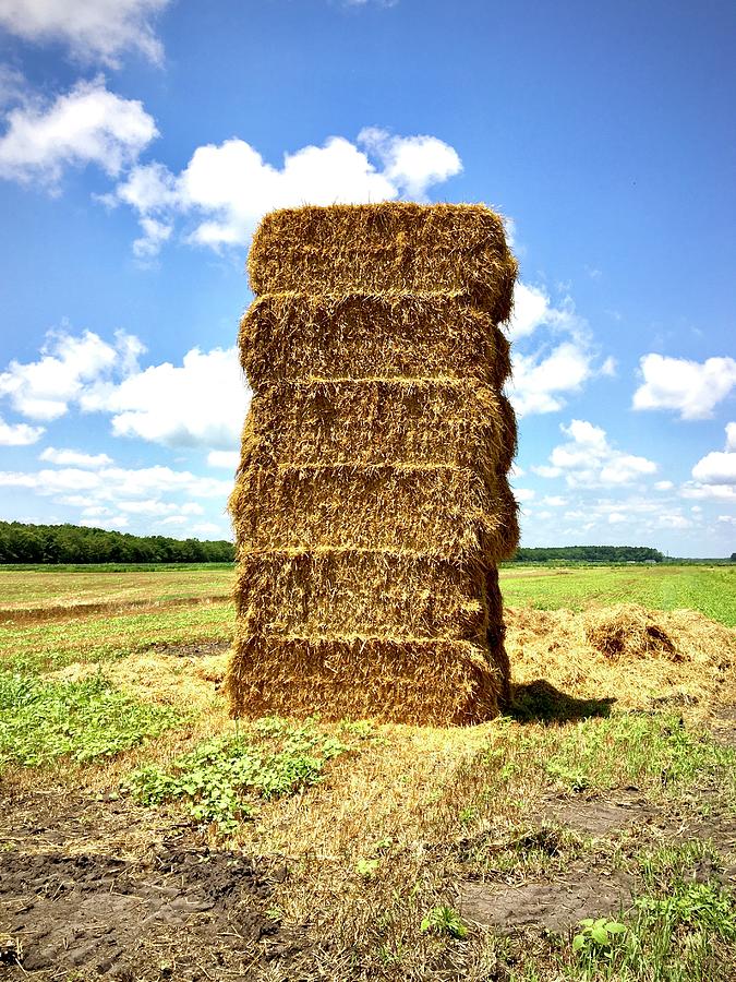 Hay Bale Monolith Photograph by Bill Swartwout