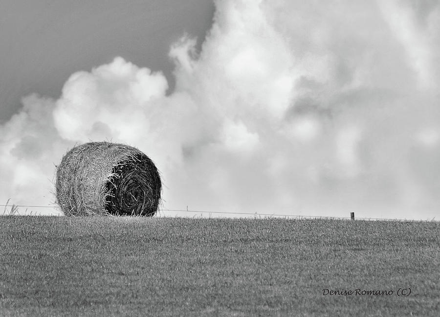 Farm Photograph - Hay Bale on the Hill by Denise Romano