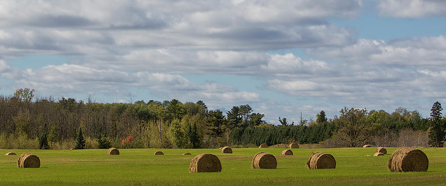 Hay Bale Pano Photograph by Patti Deters
