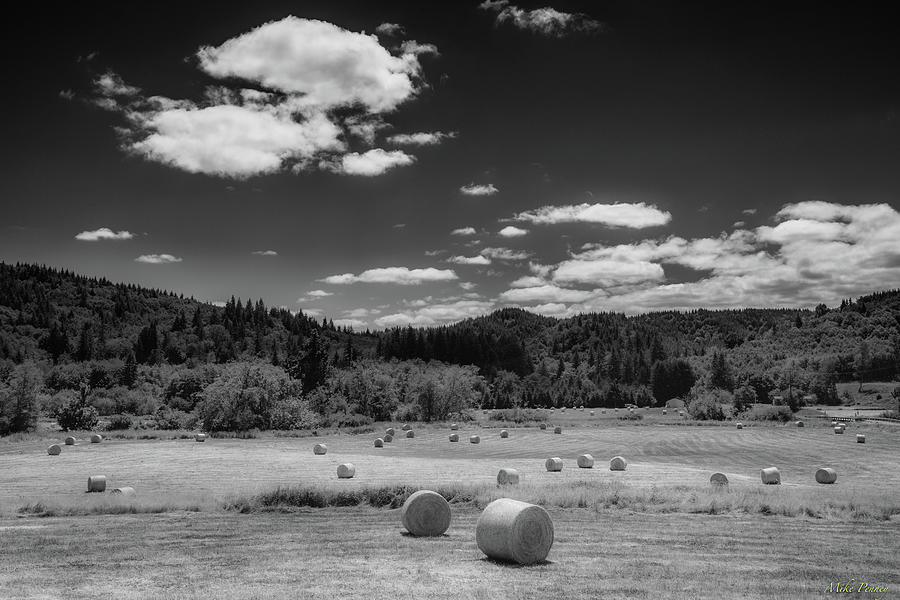 Hay bales 01 Photograph by Mike Penney