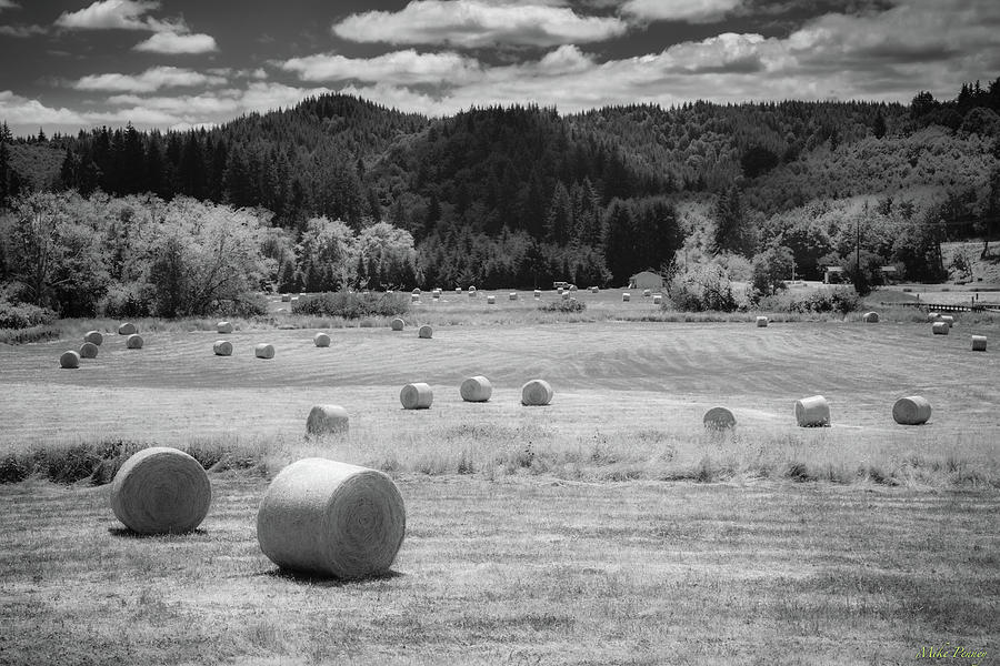 Hay Bales 02 Photograph by Mike Penney