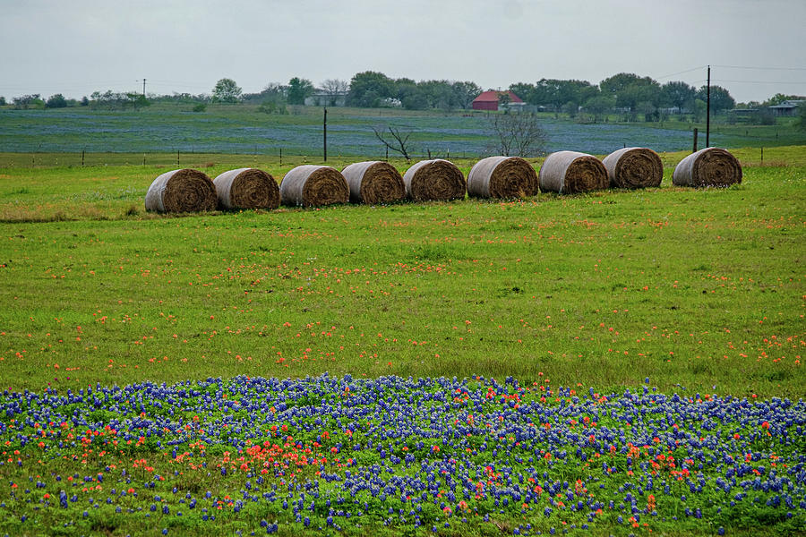 Hay Bales and Blues Photograph by Johnny Boyd