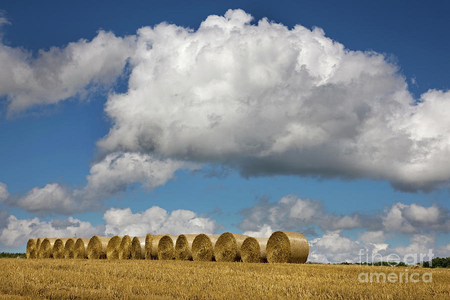 Hay Bales and White Clouds Photograph by Arterra Picture Library