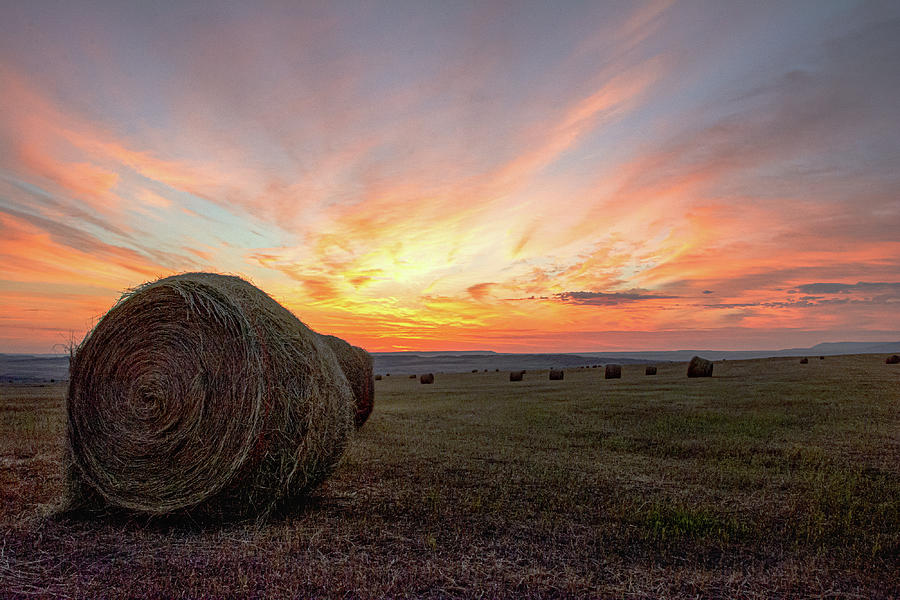 Hay Bales At Sunrise Photograph by Gary Beeler