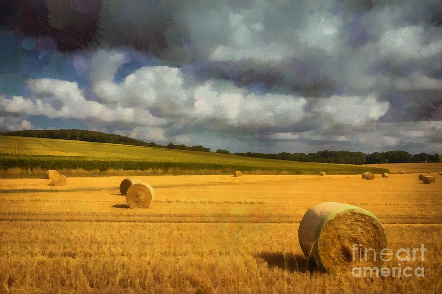 Nature Photograph - Hay Bales by Eva Lechner