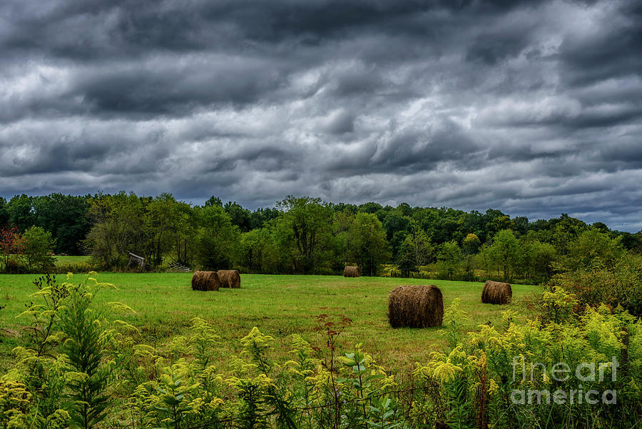 Hay Bales Goldenrod and Stormy Sky Photograph by Thomas R Fletcher
