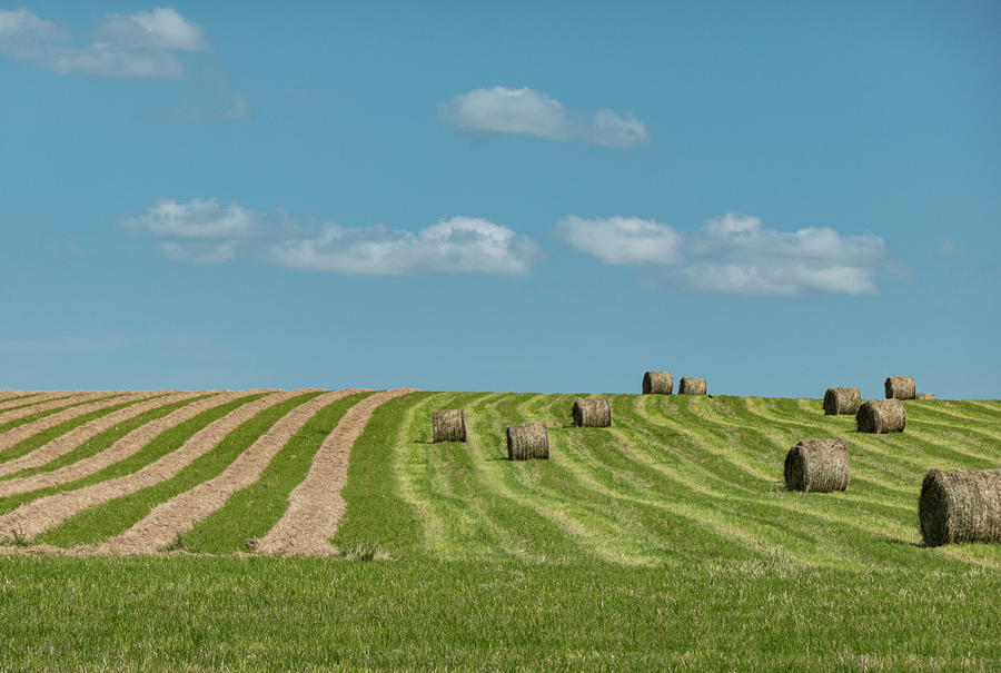 Farm Photograph - Hay Bales In A Summer Field by Phil And Karen Rispin