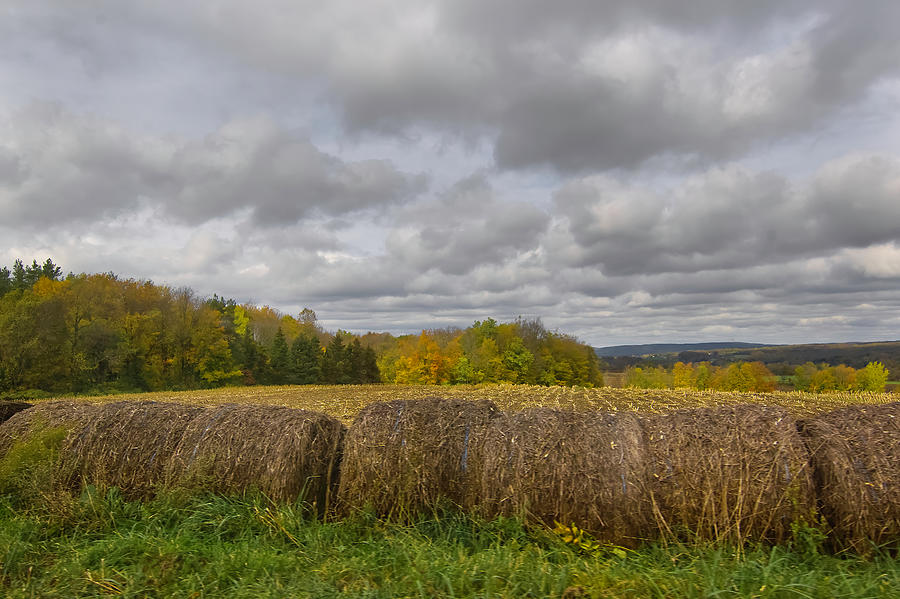Hay Bales in Autumn Photograph by Deborah Ritch