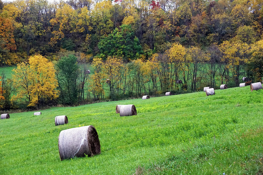 Hay Bales in Autumn Photograph by Mike Murdock