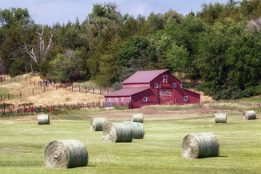 Hay Bales in the Fields - Sandhills Journey Photograph by Susan Rissi Tregoning