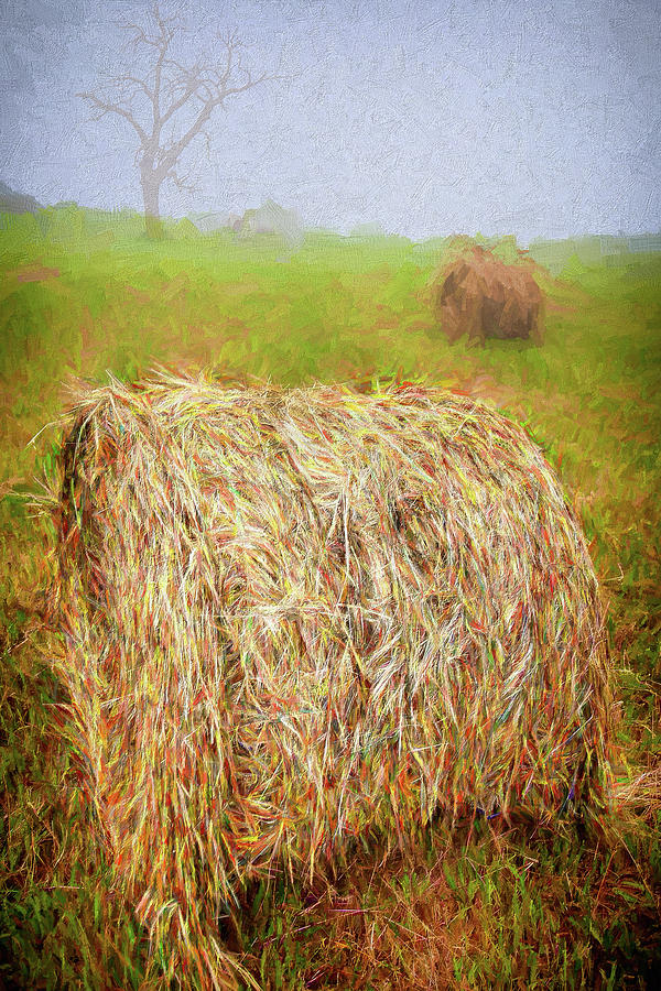 Hay Bales in the Fog ap Painting by Dan Carmichael