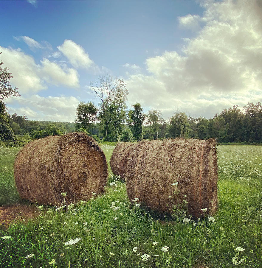 Hay Bales on Massachusetts Farm Land Photograph by Lisa Cuipa