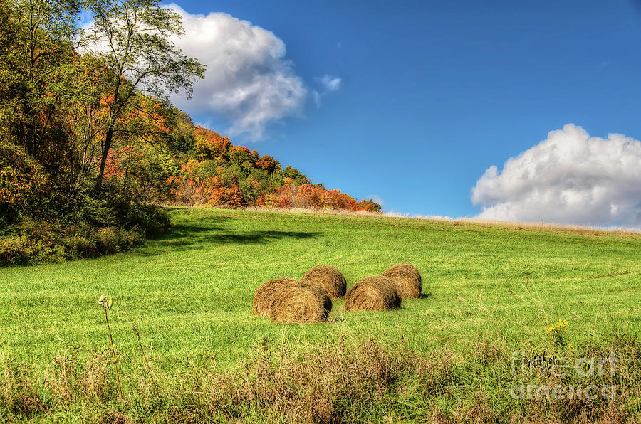 Hay Bales On An October Afternoon Photograph by Lois Bryan