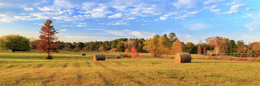 Hay Bales On The East Texas Landscape Photograph by James Eddy