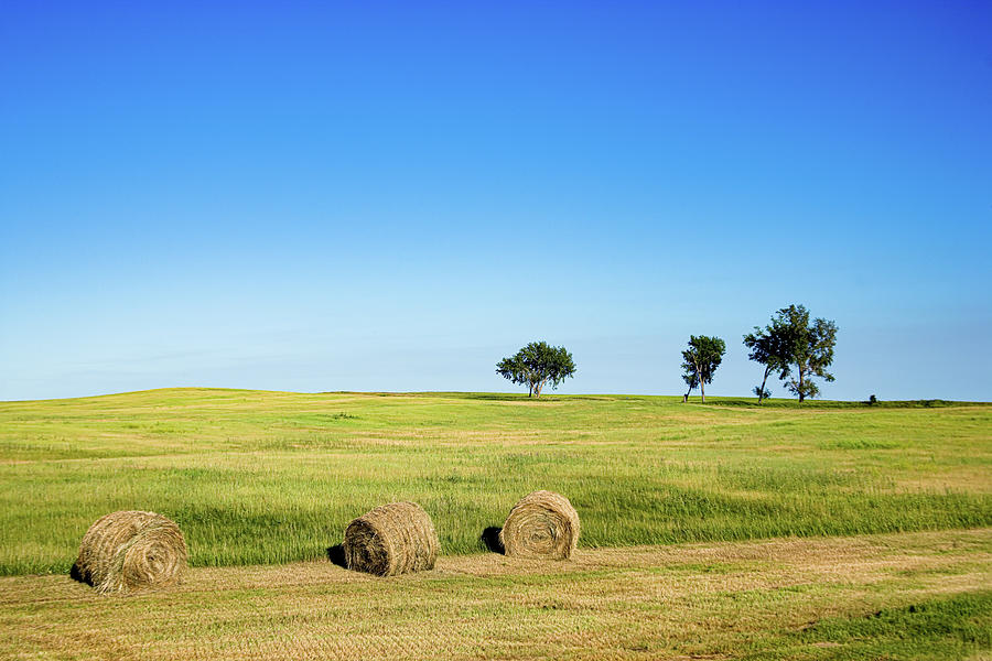 Landscape Photograph - Hay Bales rural Nebraska by Carol Highsmith