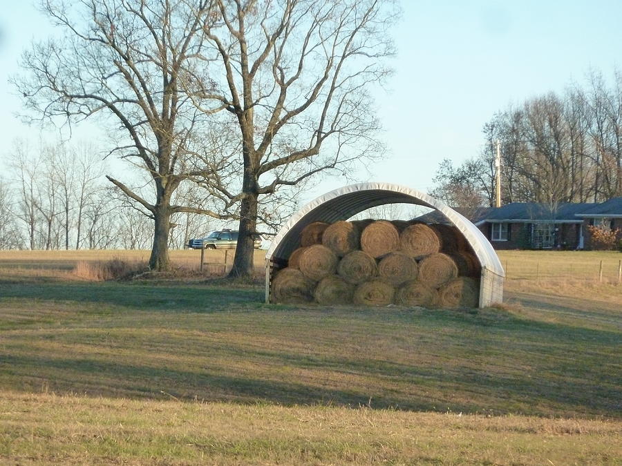 Hay bales under white cover in Appalachian Kentucky Photograph by ...