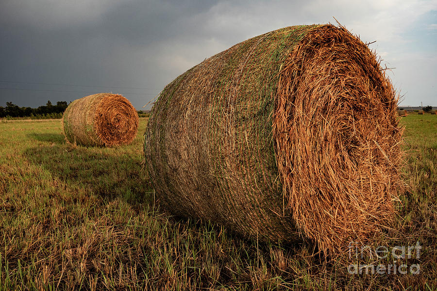 Hay bales western Kansas Photograph by Garry McMichael
