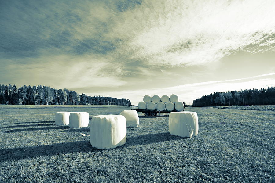Hay bales wrapped in plastic are lying on a stubble field in late summer - duotone Photograph by Ulrich Kunst And Bettina Scheidulin