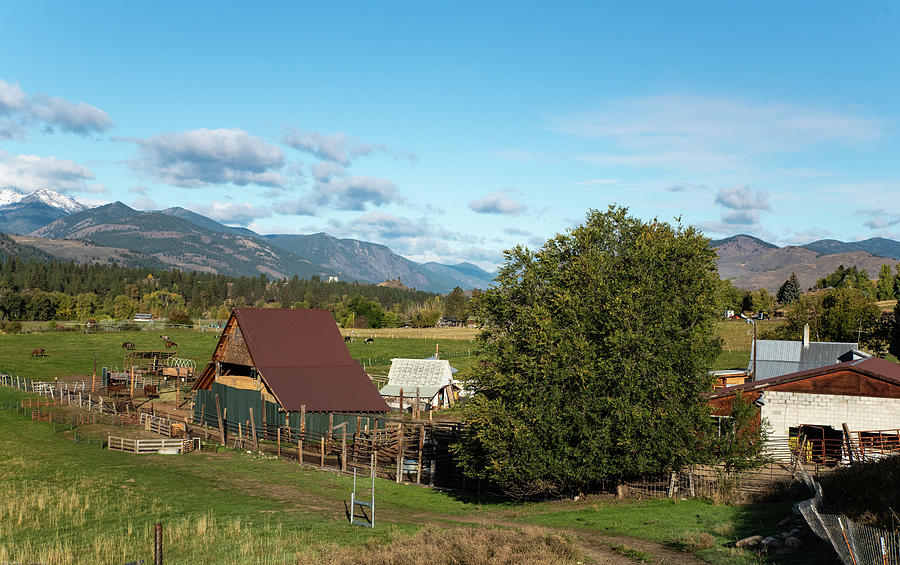 Hay Barn and Horse Farm Photograph by Tom Cochran