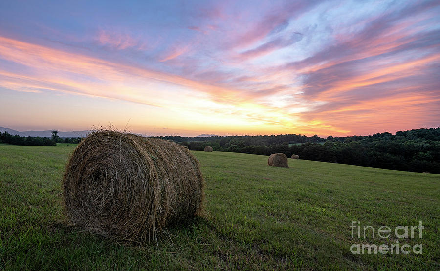 Hay Day Photograph by Brian Kamprath