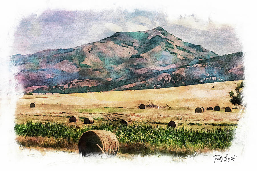 Hay Field Summers II w/ Dream Vignette Border Photograph by Tammy Bryant