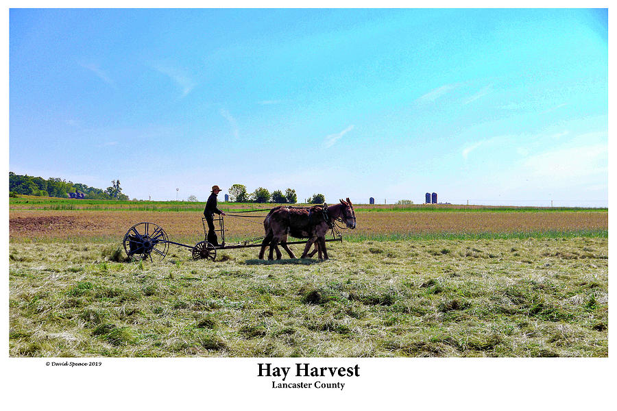 Hay Harvest Photograph by David Speace