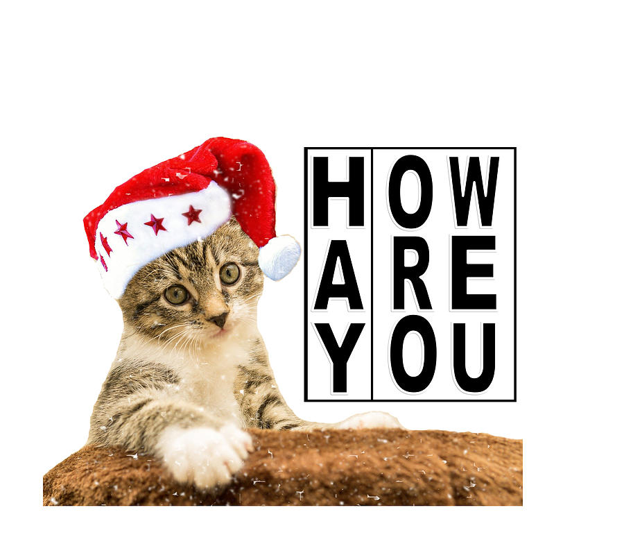 Hay How Are You Christmas Kitty with Black Letters Digital Art by Ali Baucom