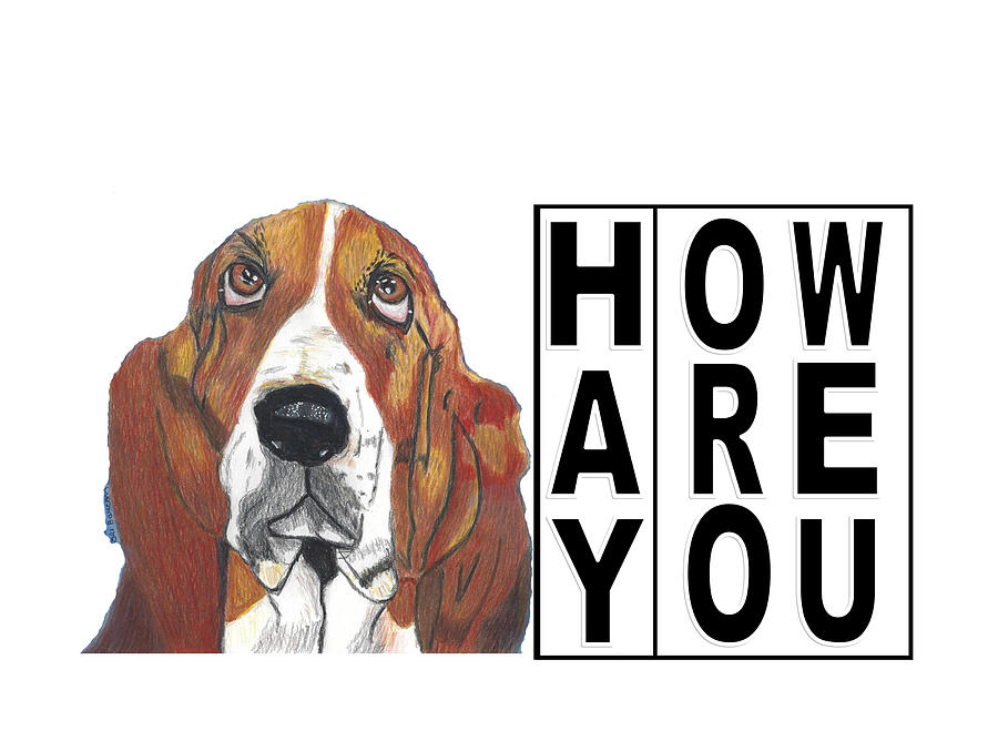 Hay How Are You  Xavier the Basset Hound  with Black Letters Mixed Media by Ali Baucom