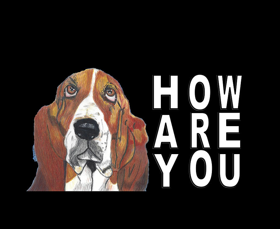 Hay How Are You  Xavier the Basset Hound  with White Letters Mixed Media by Ali Baucom