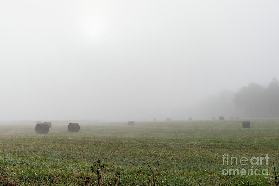 Hay In Foggy Field Photograph by Jennifer White