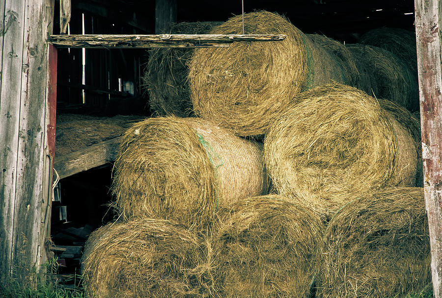 Hay in the Barn Photograph by Denise Kopko