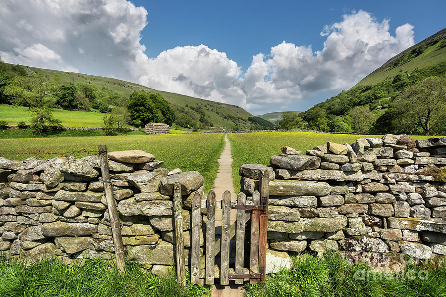 Hay Meadows, Muker, Swaledale Photograph by Tom Holmes Photography