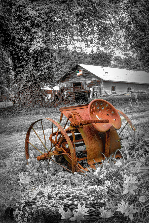 Hay Rake in the Garden Black White and Rusty Red Photograph by Debra and Dave Vanderlaan