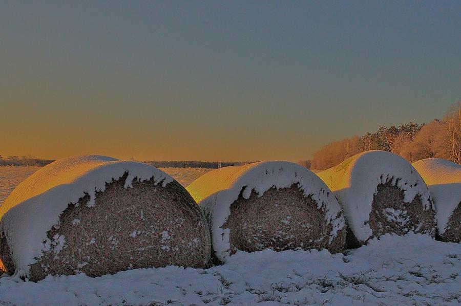 Hay Roll In Snow #1 Photograph by Eric Towell