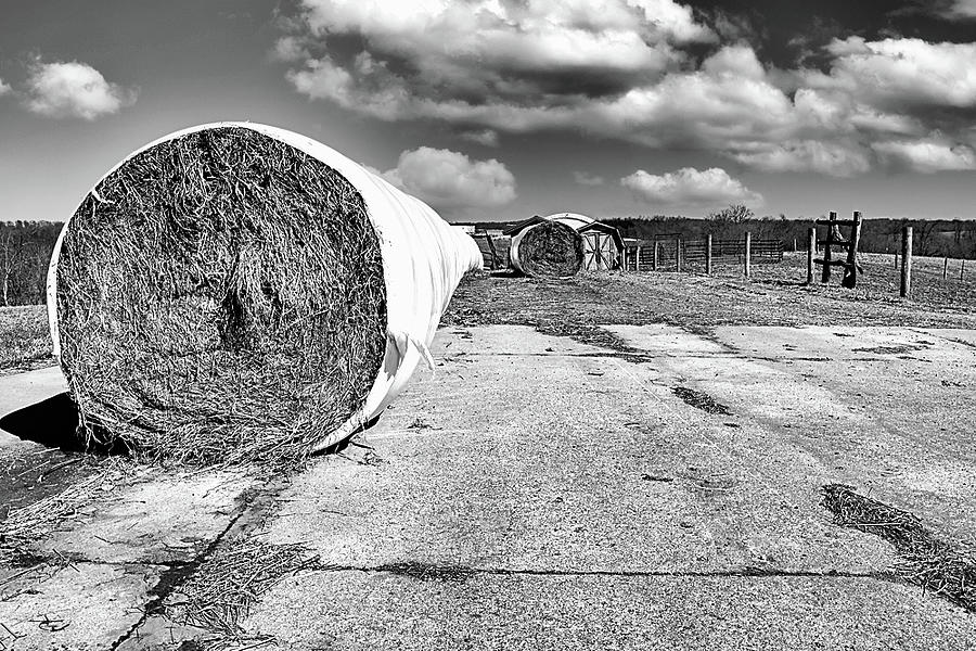 Hay Rolls on Farm Black and White Photograph by Paul Giglia