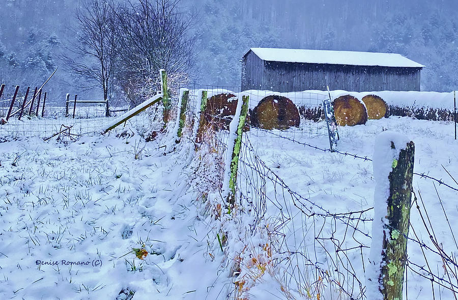 Hay Shed in Snow Photograph by Denise Romano