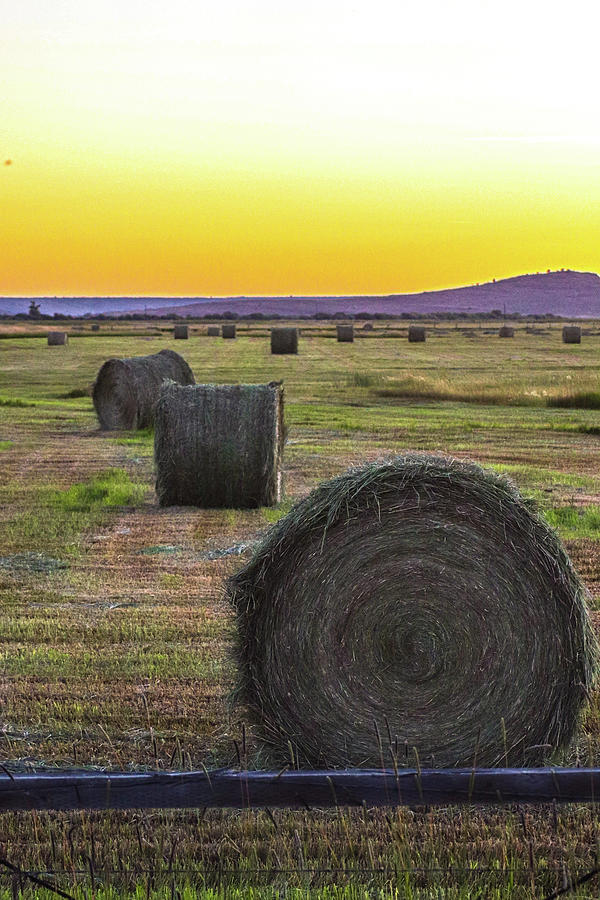 Hay time Photograph by Marla Steinke - Pixels