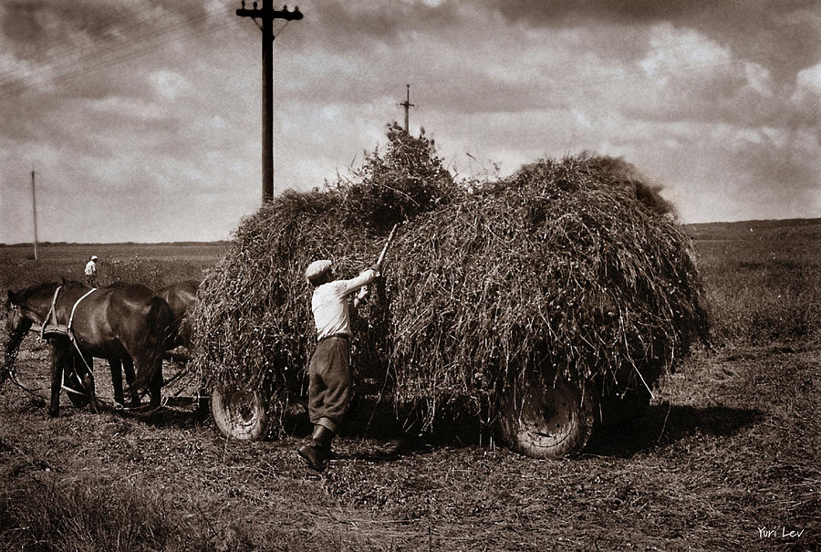 Hay Wagon Photograph by Yuri Lev