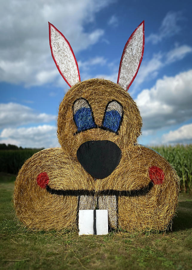 Haybale Rabbit Photograph by Patti Deters - Fine Art America