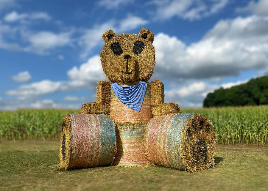 Haybale Teddy Bear Photograph by Patti Deters