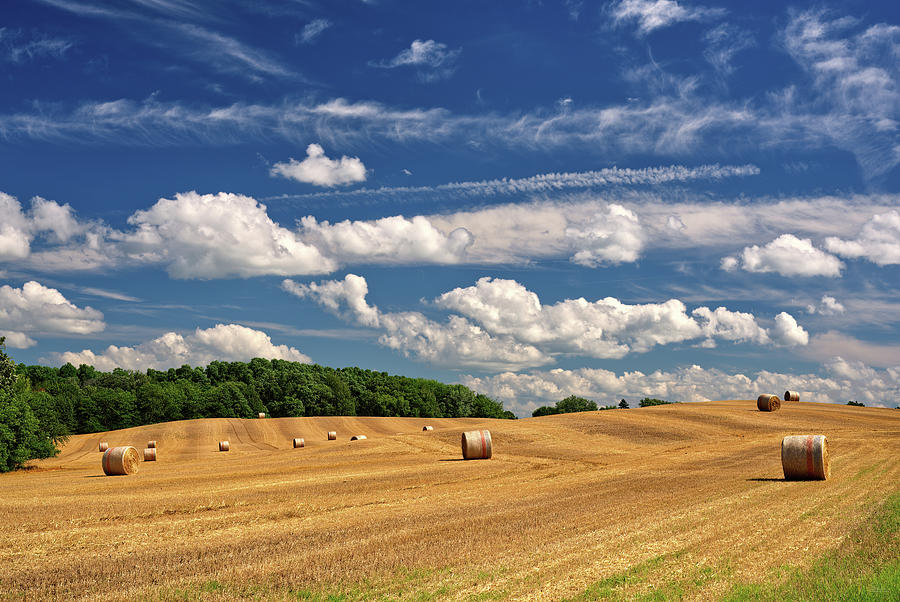 Haybales, Upstaged - straw bales in Dane county WI field upstaged by a summer sky Photograph by Peter Herman
