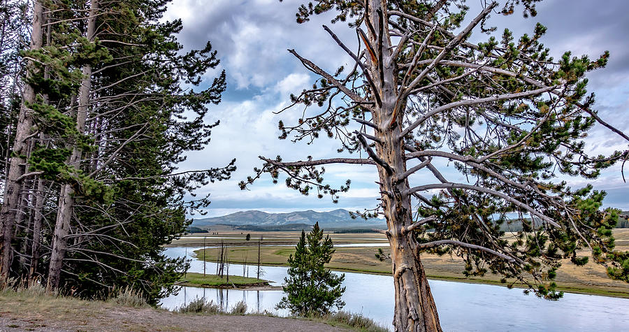 Hayden Valley and Yellowstone River, Yellowstone National Park Photograph by Alex Grichenko