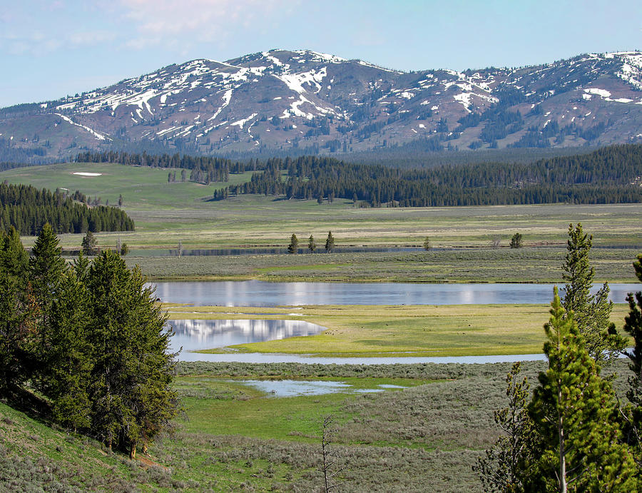 Hayden Valley Landscape Yellowstone National Park Photograph by Dan Sproul