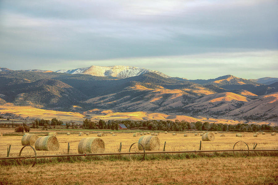 Hayfields in the Afternoon Light Montana Photograph by Jennie Marie Schell
